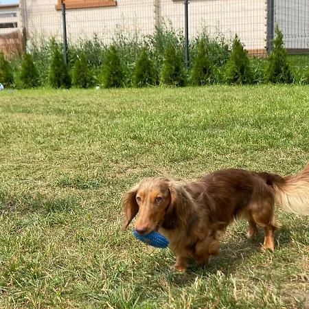 Sloneczny Zakatek Mielenko