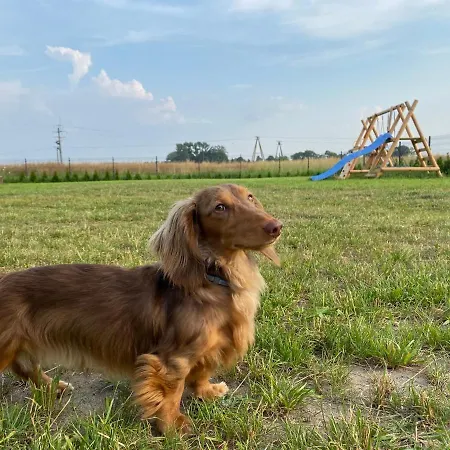 Nyaraló Sloneczny Zakatek *