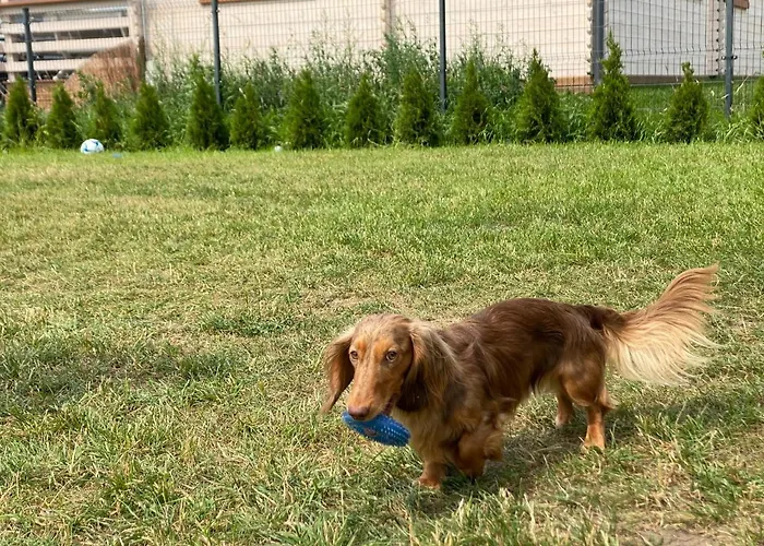 Sloneczny Zakatek ミエレンコ