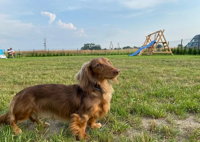 別荘 Sloneczny Zakatek *